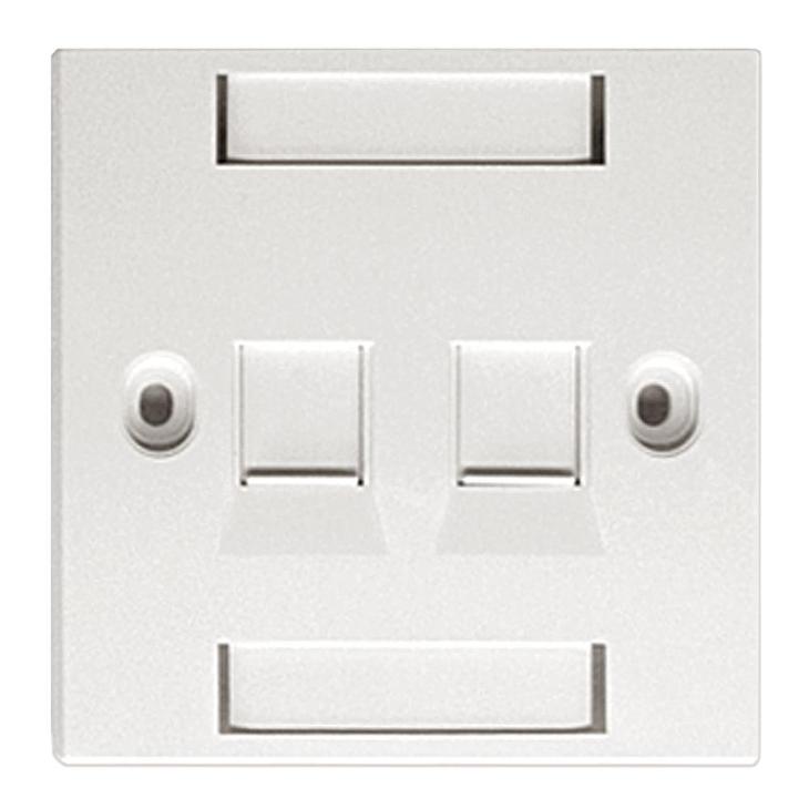 AMP Comoscope DUal Port Faceplate P/N : 288004-2 with AMP logo